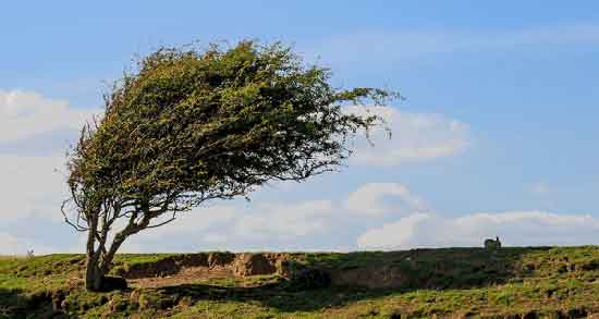 تعبیر خواب باد خنک کولر ، معنی دیدن باد خنک کولر در خواب های ما چیست