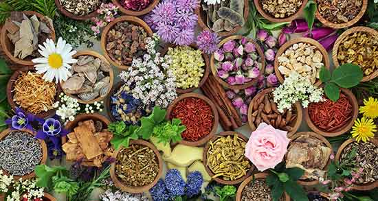 تعبیر خواب دمنوش نعناع ، معنی دیدن دمنوش نعناع در خواب های ما چیست