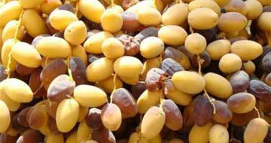 تعبیر خواب خارک زرد ، معنی دیدن خارک زرد در خواب های ما چیست