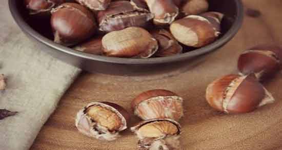 بلوط در بارداری ؛ خاصیت و مضرات مصرف میوه بلوط برای زنان باردار