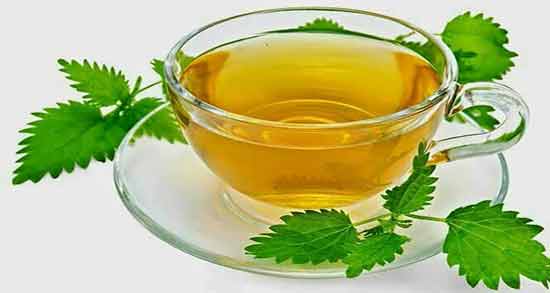 خواص دمنوش گزنه و پونه ؛ مزایا و فواید خوردن دمنوش ترکیب پونه با گزنه