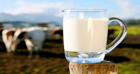 خواص شیر و عسل ؛ استفاده شیر و عسل برای چاقی اندام قبل از خواب شب