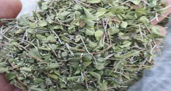 آویشن واقعی ؛ خواص تعجب برانگیز آویشن برای درمان بیماری ها
