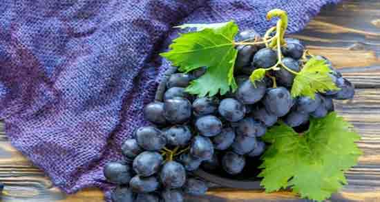 انگور سیاه برای کرونا مفید است ؛ آیا خوردن انگور سیاه باعث درمان کرونا می شود؟