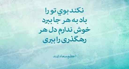 شعر در مورد باد ؛ صبا و متن در مورد باد و موهایم و شعر مولانا در مورد باد می وزد