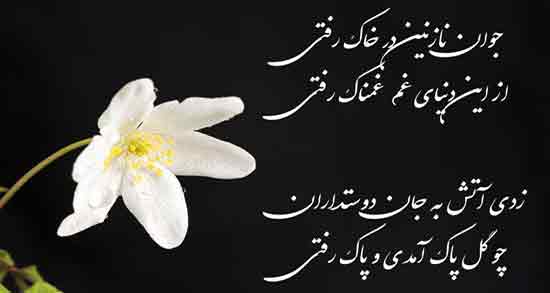 شعر در مورد تسلیت مرگ جوان ؛ جملات سوزناک برای تسلیت از دست دادن جوان