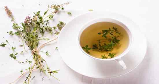 موارد منع مصرف آویشن ؛ چه کسانی نباید از آویشن استفاده کنند