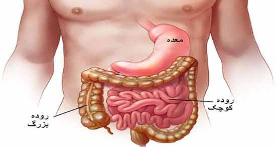پاکسازی روده ؛ معرفی معجونی عالی برای پاکسازی روده