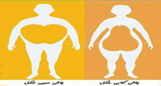 چاقی گلابی شکل ؛ تغذیه مناسب برای افرادی که چاقی گلابی شکل دارند
