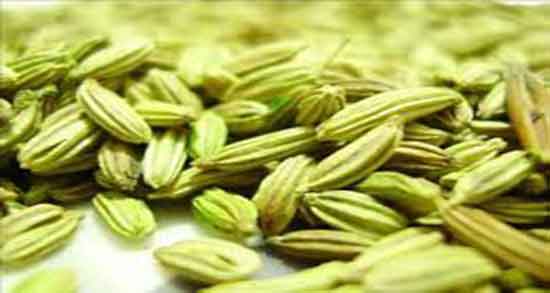 خواص زیره سبز ؛ برای رحم و کودکان و بارداری و نوزاد و کبد چرب و لاغری
