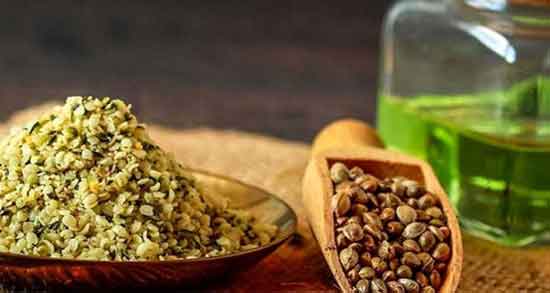 شاهدانه در بارداری ؛ فواید و مضرات خوردن شاهدانه برای زن باردار