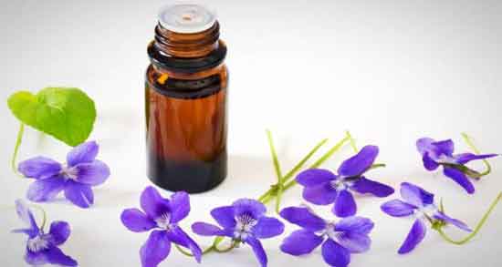 خواص روغن بنفشه برای ابرو ؛ روغن بنفشه باعث تقویت و افزایش رشد ابرو