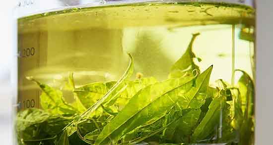 خواص دمنوش به لیمو ؛ و زعفران و دارچین و بابونه و آویشن و مضرات و طرز تهیه