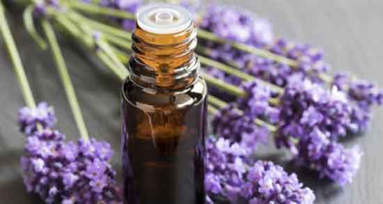 خواص روغن بنفشه ؛ در بینی و ناف برای پوست و مو و گوش و دور چشم و ابرو