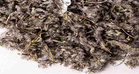 چای کوهی و آویشن ؛ خاصیت چای کوهی و آویشن برای سلامتی بدن