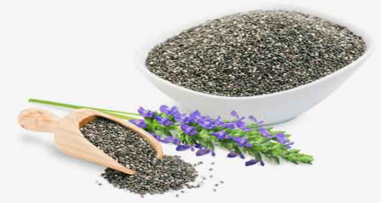چیا سید از کجا بخریم ؛ خرید دانه چیا سید در عطاری های شیراز