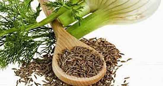دمنوش رازیانه برای لاغری ؛ فواید دمنوش رازیانه برای لاغری شکم