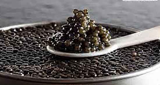 فواید خاویار برای زن باردار ؛ خواص خاویار برای زنان باردار چیست