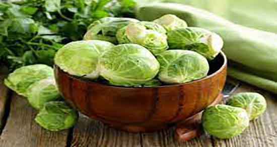 گیاه کلم بروکسل ؛ نام علمی گیاه کلم بروکسل + بذر کلم بروکسل