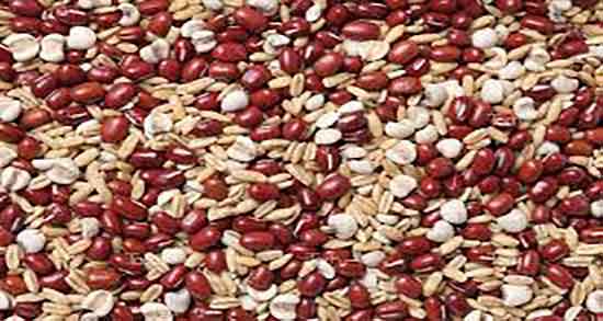 حبوبات در رژیم کتوژنیک ؛ دستور خوردن حبوبات در رژیم کتوژنیک