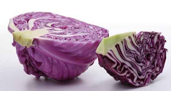 کلم بنفش برای لاغری ؛ خوردن کلم بنفش برای لاغری بدن تاثیر دارد