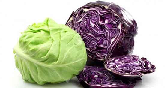 کلم پیچ و یبوست ؛ فواید خوردن کلم پیچ برای درمان یبوست کودکان