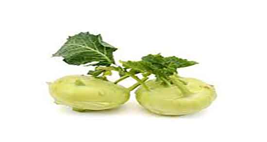 خواص کلم قمری در طب سنتی ؛ فواید کلم قمری از نظر طب سنتی