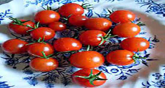 خواص روغن گوجه برای پوست ؛ روغن هسته گوجه برای پوست صورت