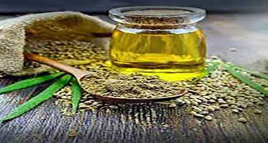 خواص و مضرات دمنوش رازیانه ؛ فواید و عوارض دمنوش رازیانه چیست