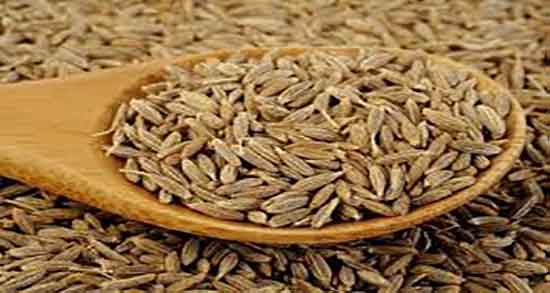 خواص زیره در پریودی ؛ ایا مصرف زیره برای زنان باعث خونریزی میشود