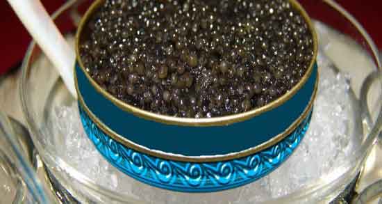 خاویار در کدام ماهی است ؛ خاویار در شکم کدام ماهی است
