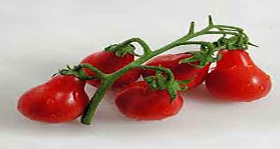 ماسک گوجه و شکر ؛ ماسک گوجه و شکر برای لک صورت زنان باردار