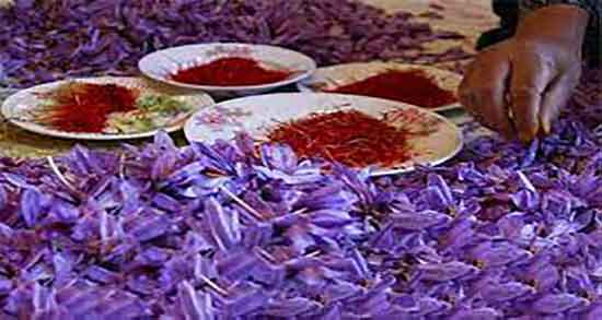 زعفران و کلیه ؛ میزان مصرف زعفران در روز برای از بین بردن سنگ کلیه