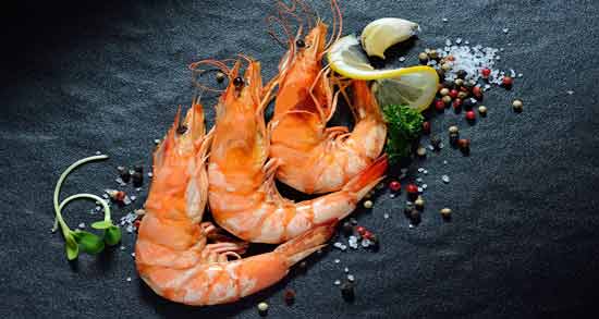 خواص میگو در طب سنتی ؛ میگو سرشار از پروتئین و مواد مغذی
