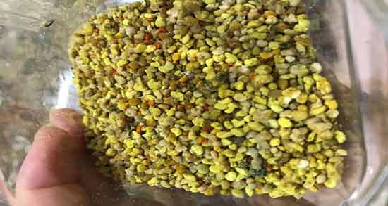 خواص گرده گل برای بدنسازی ؛ اهمیت استفاده گرده گل برای بدنسازان
