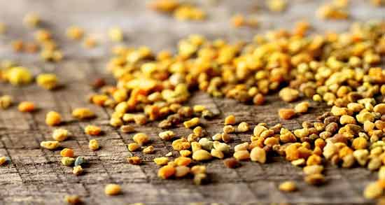 خواص گرده گل در طب سنتی ؛ فواید درمانی گرده گل از دیدگاه طب سنتی