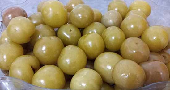 خواص گوجه سبز پخته شده ؛ وجود مواد مغذی فراوان در گوجه سبز پخته