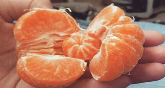 فواید نارنگی یافا ؛ آشنایی با خواص و فواید خوردن نارنگی یافا برای درمان بیماری ها