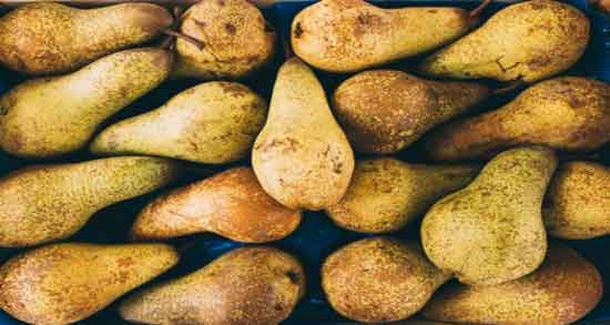 فواید گلابی ناشتا ؛ تاثیر خوردن میوه گلابی برای سلامتی و زیبایی پوست