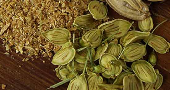 فواید گلپر برای دیابت ؛ خاصیت گلپر برای کاهش سطح قند خون افراد مبتلا به دیابت