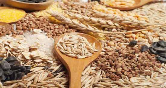 فواید گندم برای کودکان ؛ تقویت ایمنی بدن کودکان با مصرف گندم