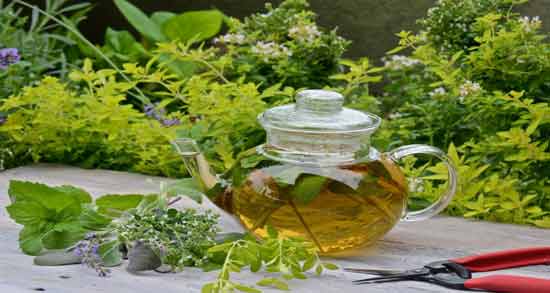مرزنجوش و بارداری ؛ تاثیر مصرف مرزنجوش برای جنین و زن باردار