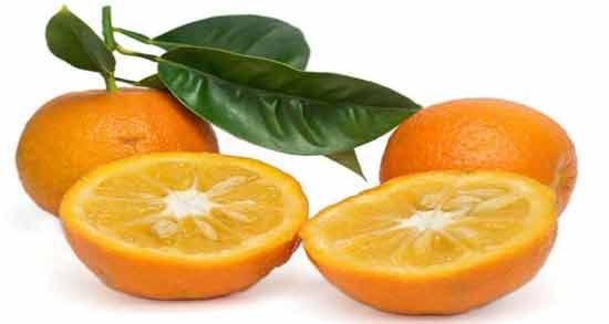 مضرات نارنج در طب سنتی ؛ بررسی عوارض و مضرات خوردن نارنج