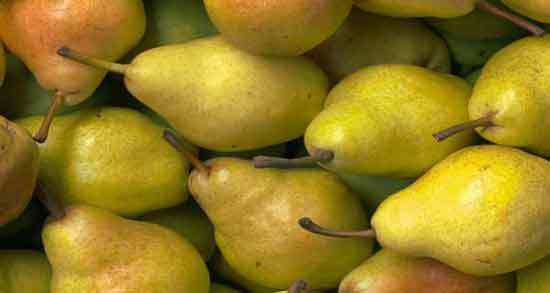 مضرات گلابی در طب سنتی ؛همه چیز درباره مضرات و عوارض خوردن گلابی