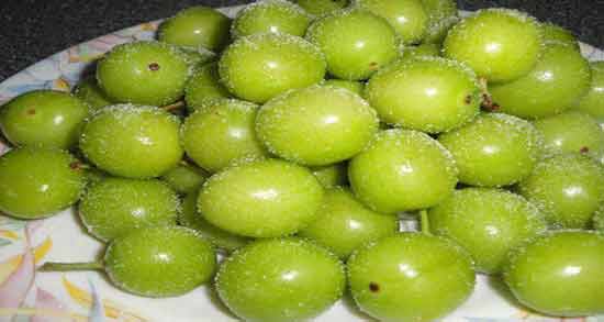 مضرات گوجه سبز در دوران بارداری ؛ عوارض خوردن گوجه سبز برای زن باردار