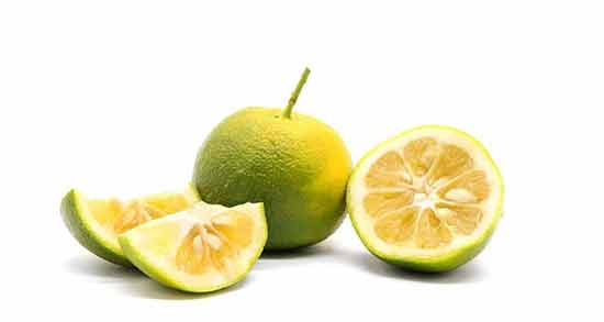 نارنج در طب سنتی ؛ همه چیز درباره خواص و مضرات مصرف نارنج