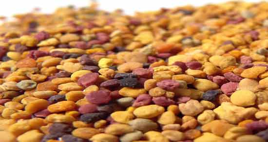 گرده گل و کرونا ؛ آیا گرده گل می تواند شیوع کرونا را افزایش دهد؟