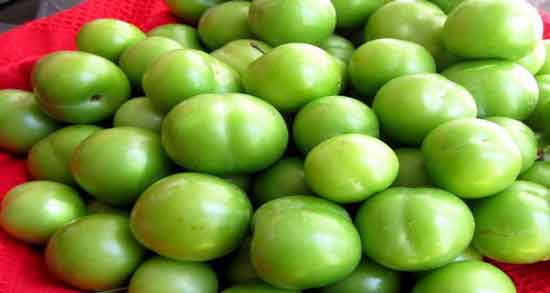 گوجه سبز چیست ؛ آشنایی کامل با میوه خوشمزه و پرخاصیت بهاری