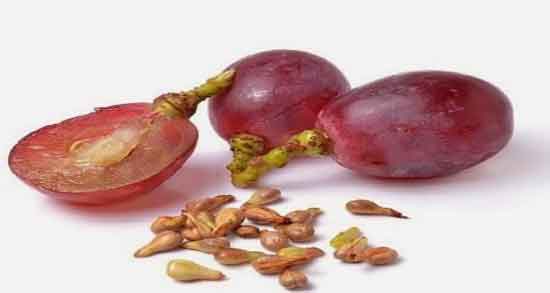 فواید هسته انگور ؛ خواص مصرف هسته انگور برای انواع سرطان