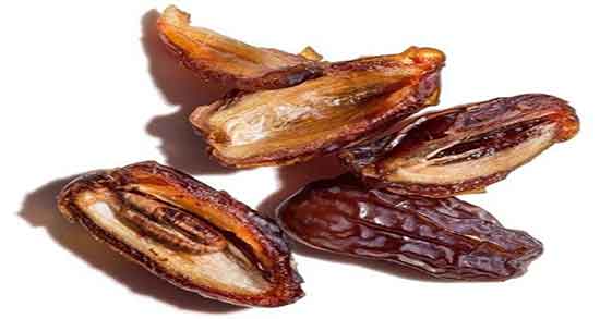 فواید هسته خرما ؛ خاصیت هسته خرما برای درمان سنگ کلیه